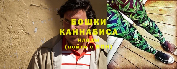 стафф Михайловск