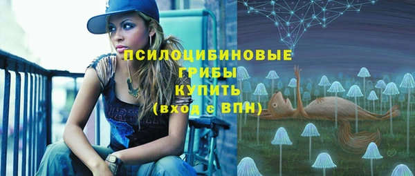 стафф Михайловск