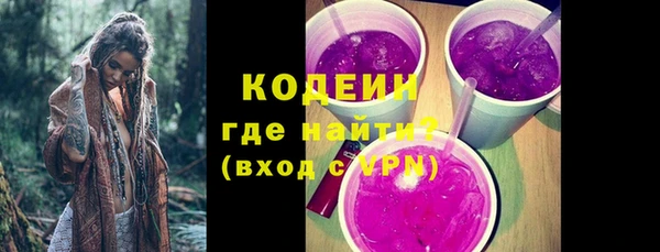 ПСИЛОЦИБИНОВЫЕ ГРИБЫ Михайлов