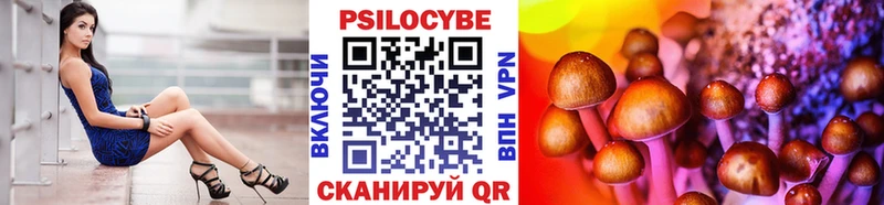 mega ONION где можно купить Западная Двина Псилоцибиновые грибы MAGIC MUSHROOMS