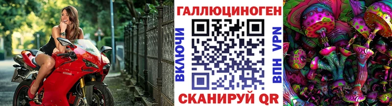 Псилоцибиновые грибы GOLDEN TEACHER Западная Двина